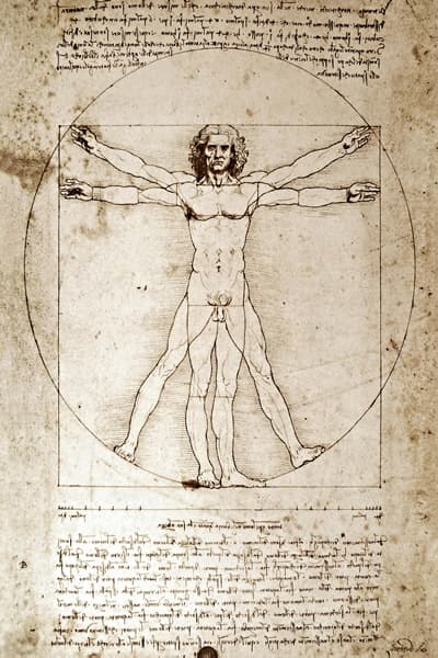 Vitruvius Adam