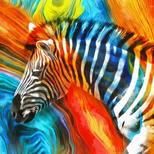 Gokkusagi Zebra