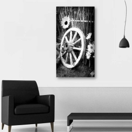 At Arabası Tekerleği - 