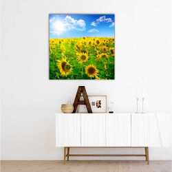 Ay Çiçeği Tarlası Kanvas Tablo - 