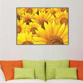 Ay Çiçekleri Kanvas Tablo - 