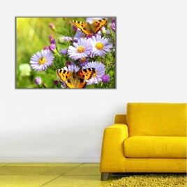 Baharda Papatyalar Kanvas Tablo - 