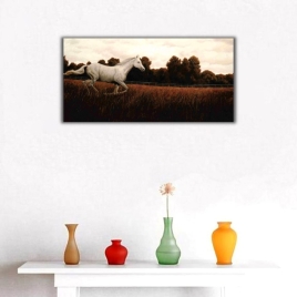 Beyaz At Panoramik Kanvas Tablo - 