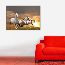 Beyaz At Sürüsü Kanvas Tablo - 