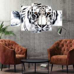 Beyaz Kaplan 1 Kanvas Tablo - 