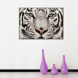 Beyaz Kaplan Kanvas Tablo - 