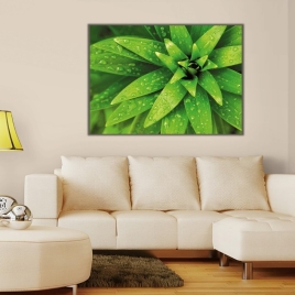 Bitkiler Kanvas Tablo - 