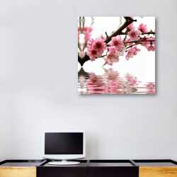 Çiçek Açan Dallar Tablosu - 