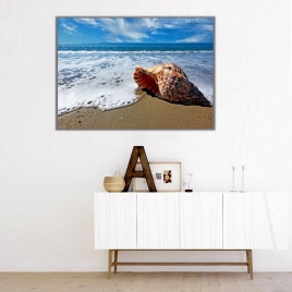 Deniz Kabuğu Kanvas Tablo 3 - 