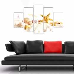 Deniz Kabukları Kanvas Tablo - 