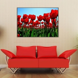 Gelincik Tarlası Kanvas Tablo - 