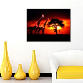 Gün Batımında Zürafalar Kanvas Tablo - 