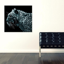 Kaplan Kare Kanvas Tablo - 