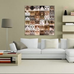 Kediler Kanvas Tablo - 