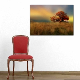 Kırda Kulübe Tablosu - 