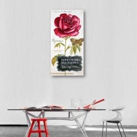 Kırmızı Gül Tablo - 