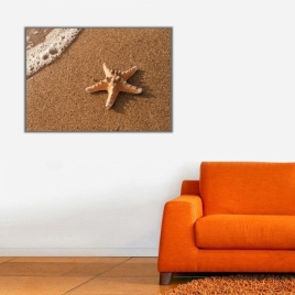 Kıyıya Vurmuş Deniz Yıldızı Kanvas Tablo - 