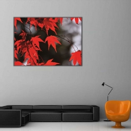 Kızıl Yapraklar Kanvas Tablo - 