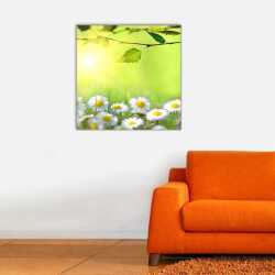 Papatyalar Kanvas Tablo - 