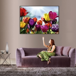 Renkli Laleler Kanvas TabloKanvas Tablo - 