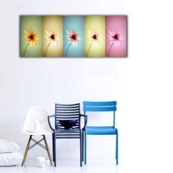 Renkli Papatyalar Panoramik Kanvas Tablo - 