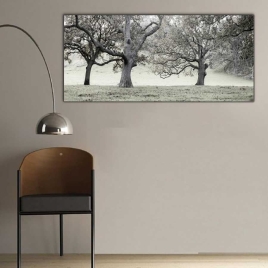 Siyah Beyaz Ağaçlar Panoramik Kanvas Tablo - 
