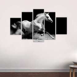 Siyah Beyaz At Kanvas Tablo - 