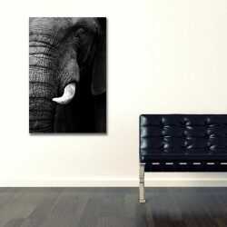 Siyah Beyaz Fil Kanvas Tablo - 