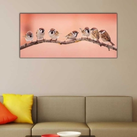 Sokak Kuşları Panoramik Kanvas Tablo - 