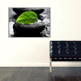 Taşlar ve Yaprak Kanvas Tablo - 