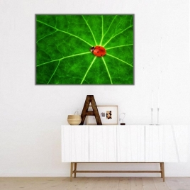 Yaprak ve Ağustos Böceği Kanvas Tablo - 