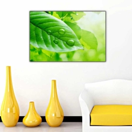 Yaprak ve Su Damlaları Tablosu - 