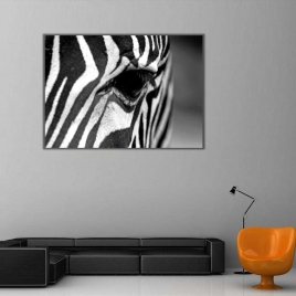 Zebra Kanvas Tablo 2 - 